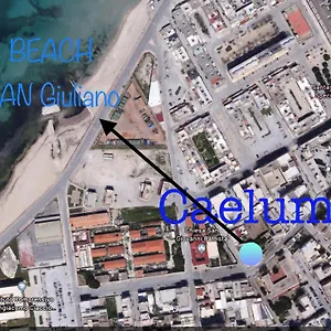Caelum Trapani